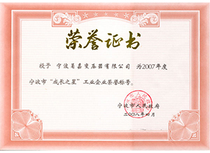 寧波市“成長之星”企業(yè)