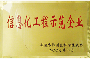信息化工程示范企業(yè)